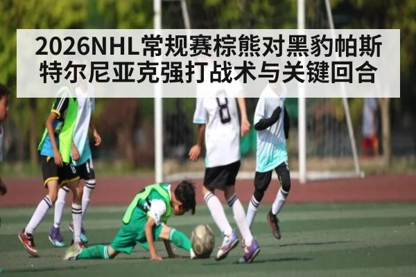 2026NHL常规赛棕熊对黑豹帕斯特尔尼亚克强打战术与关键回合